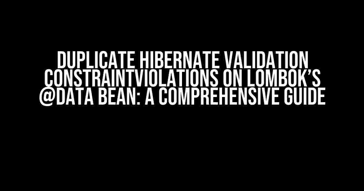 Duplicate Hibernate validation ConstraintViolations on Lombok’s @Data bean: A Comprehensive Guide